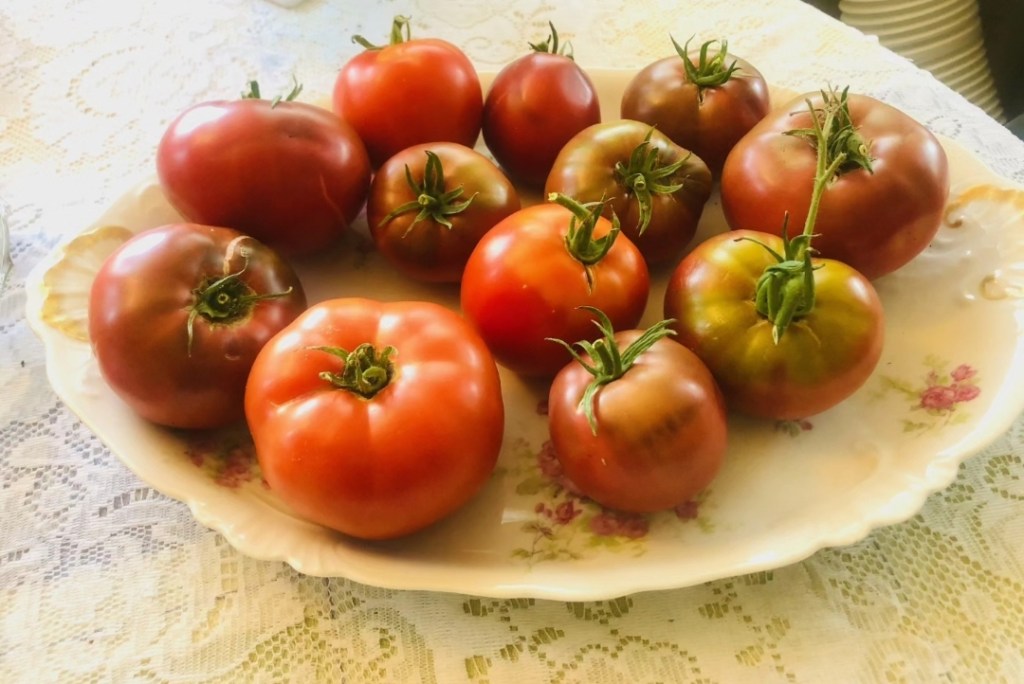 Old School Canning&nbsp;Tomatoes